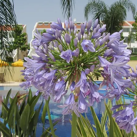 Bayview Gardens Appartamento *